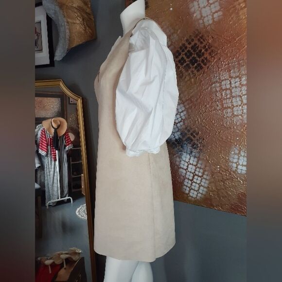 Nwt Zara Faux Suede Pinafore Style Mini Dress - Picture 6 of 14